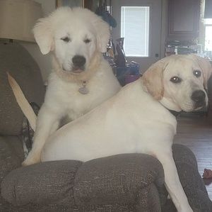 Meet your Posher, Julia